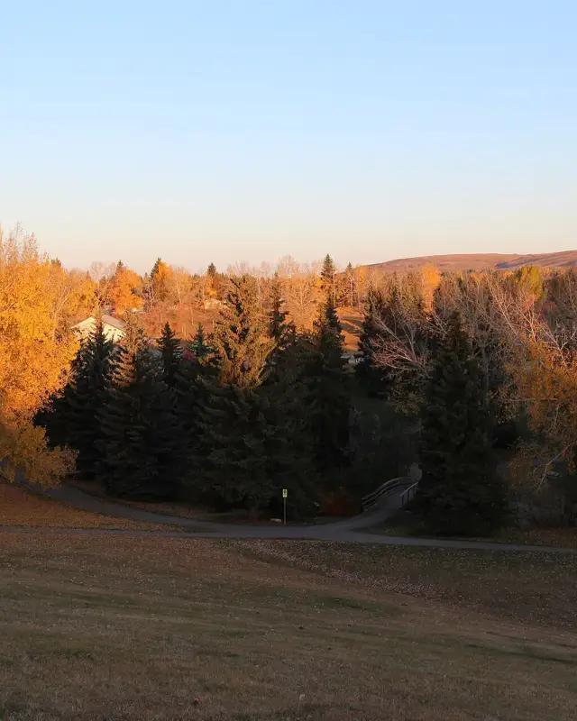 Cambrian Heights & Queens Park Village