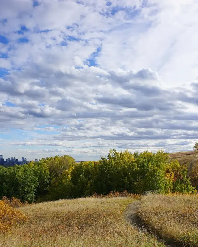 Charleswood
