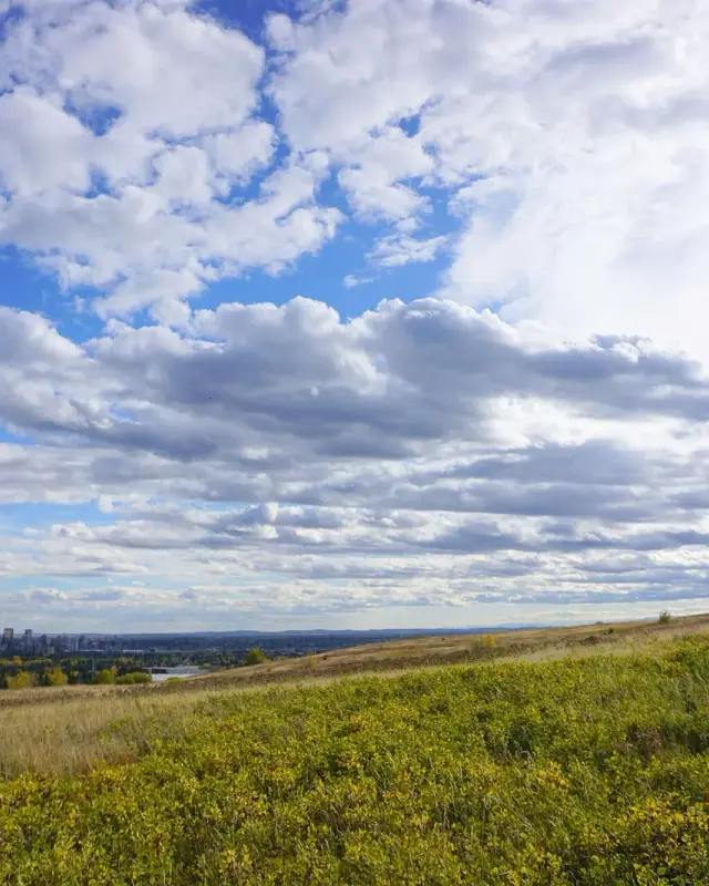 Country Hills
