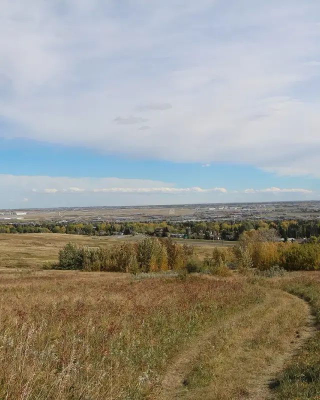 Country Hills Village