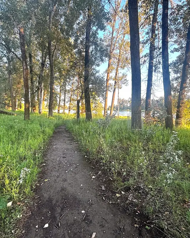 Douglasdale/Glen