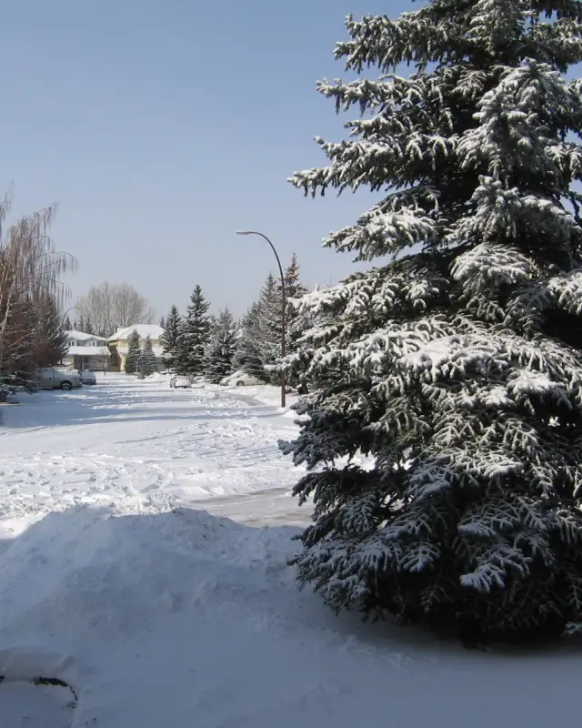 Millrise