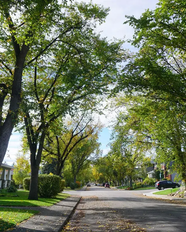 Parkdale