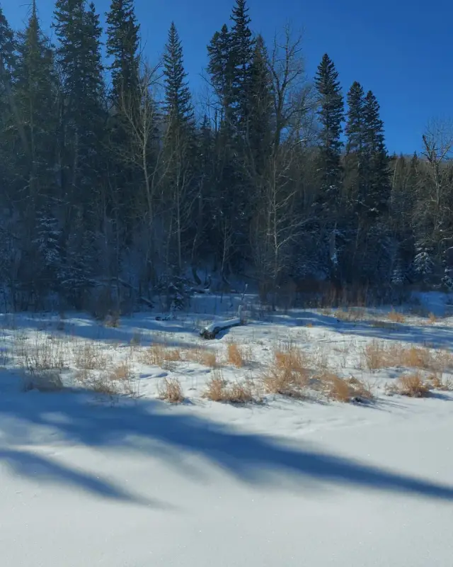 Sundance