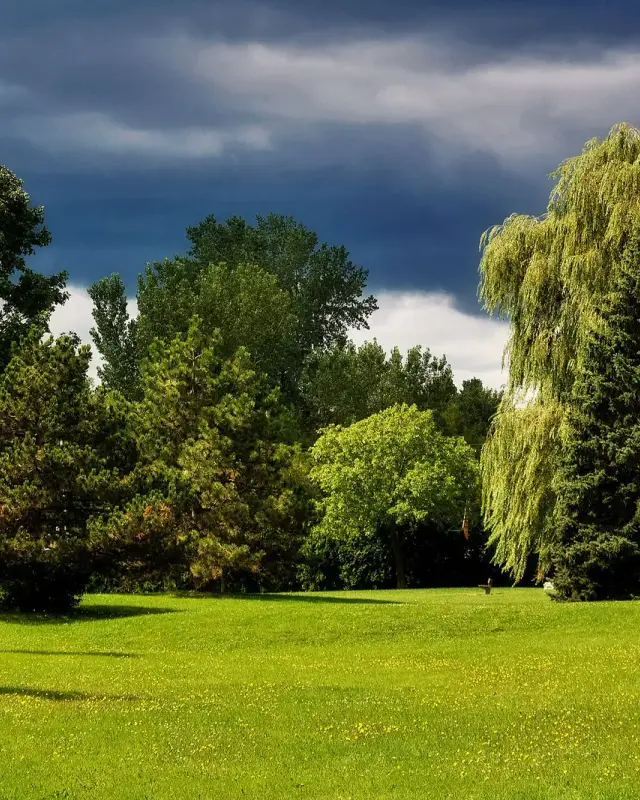 Beaconsfield