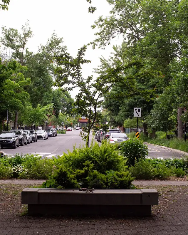 Côte-Saint-Paul