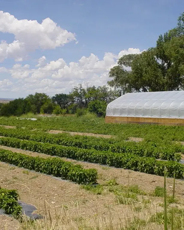 Borden Farm