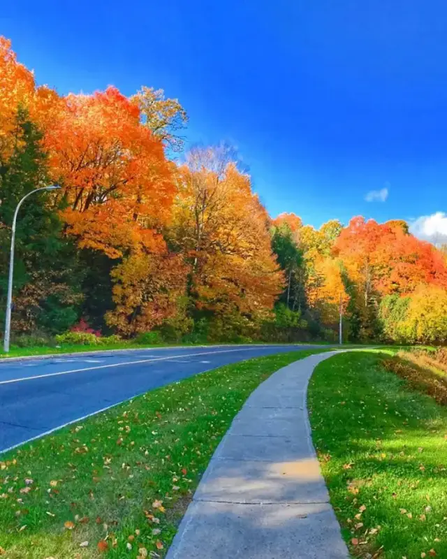 Chapel Hill North