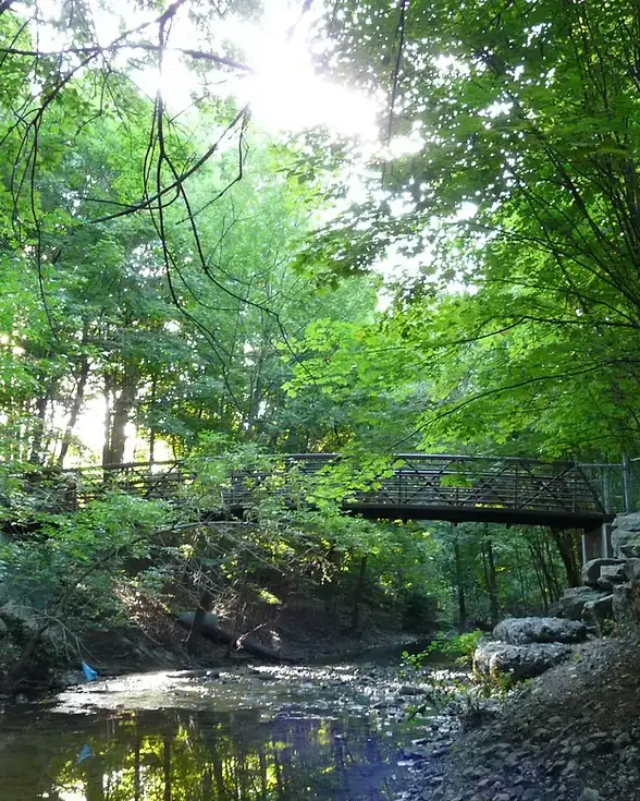 Leslie Park