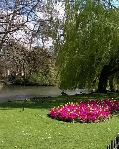 Manor Park