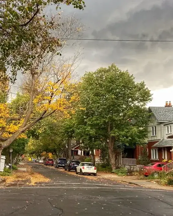 Old Ottawa South