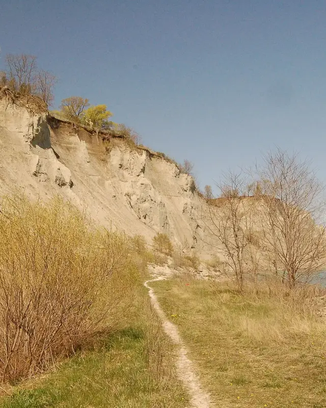 Birchcliffe-Cliffside