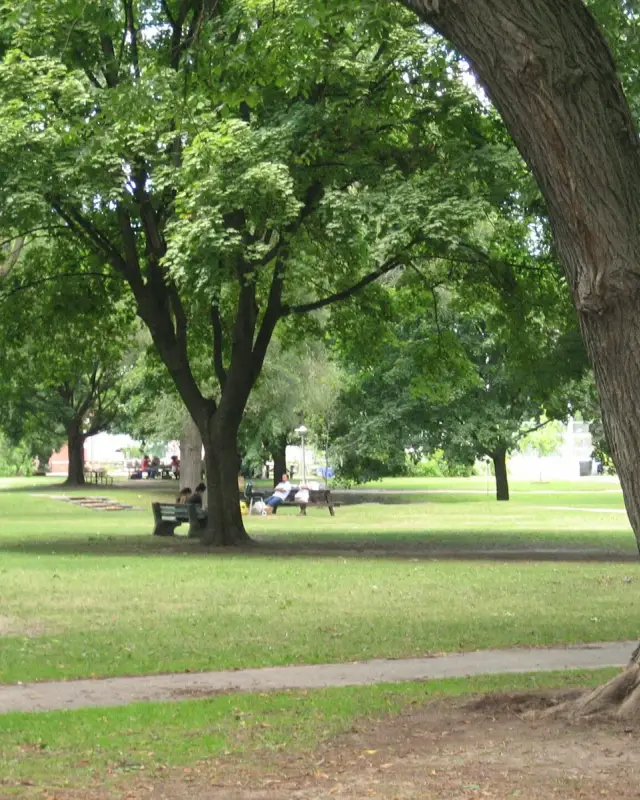 Dufferin Grove