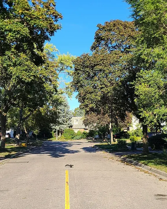 East L'Amoreaux