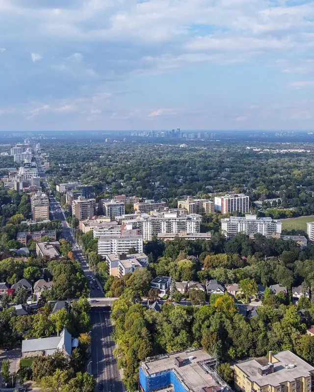 Forest Hill North