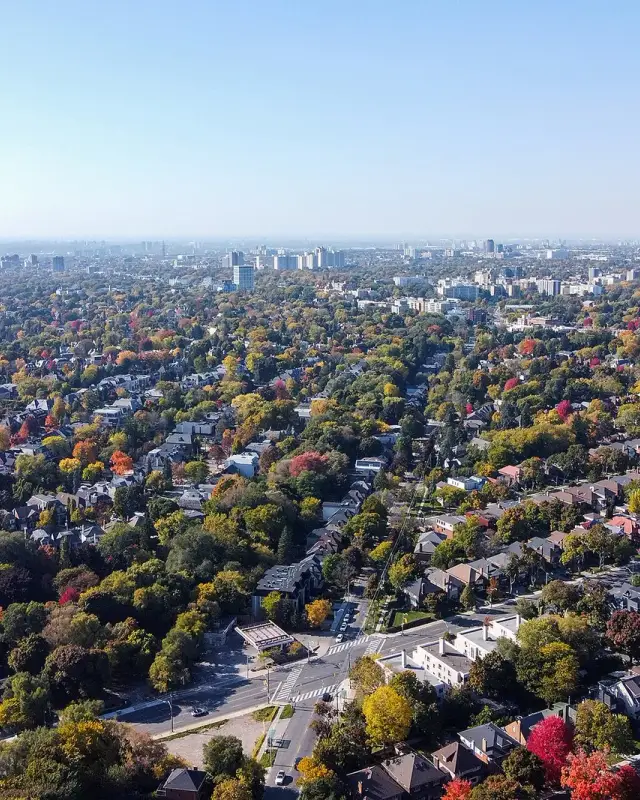 Forest Hill South