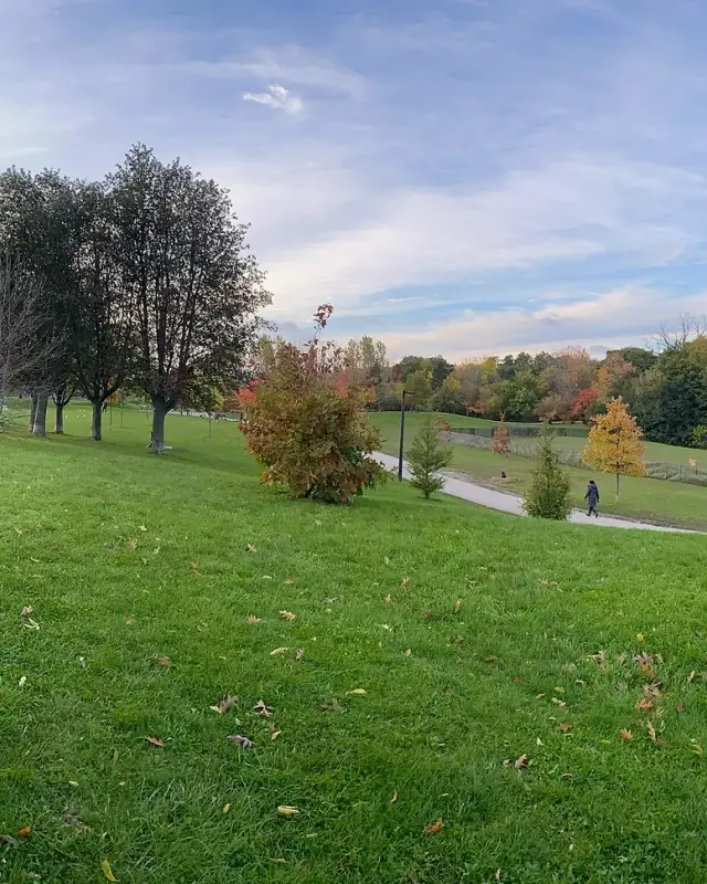 Humewood-Cedarvale
