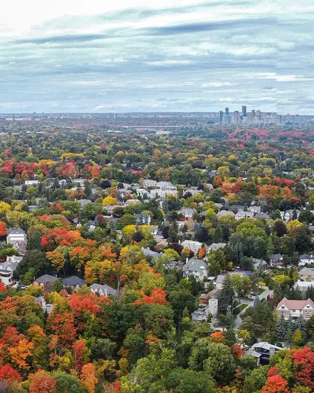 Lawrence Park South
