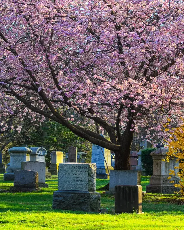 Mount Pleasant East