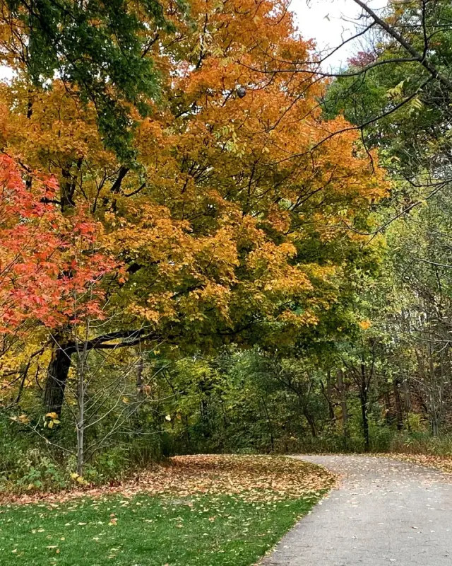 Old East York