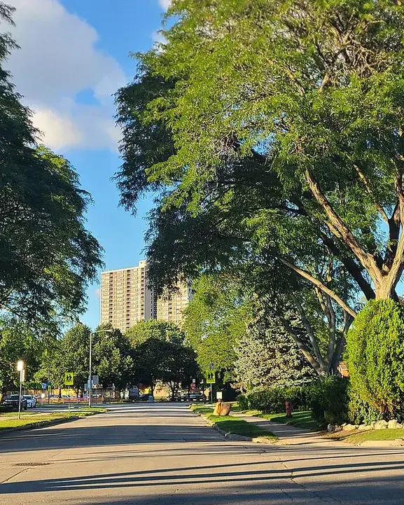 Parkwoods-O'Connor Hills
