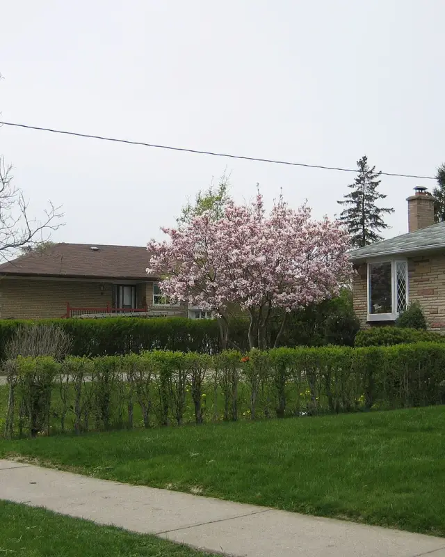 Rexdale-Kipling