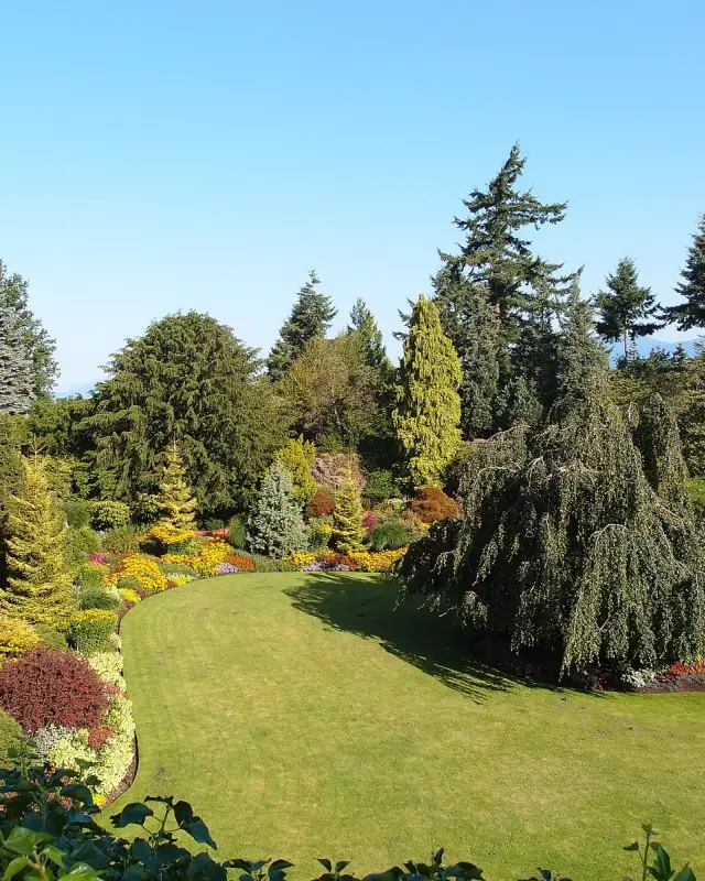 Riley Park