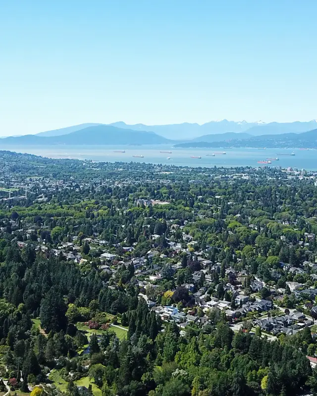 Shaughnessy